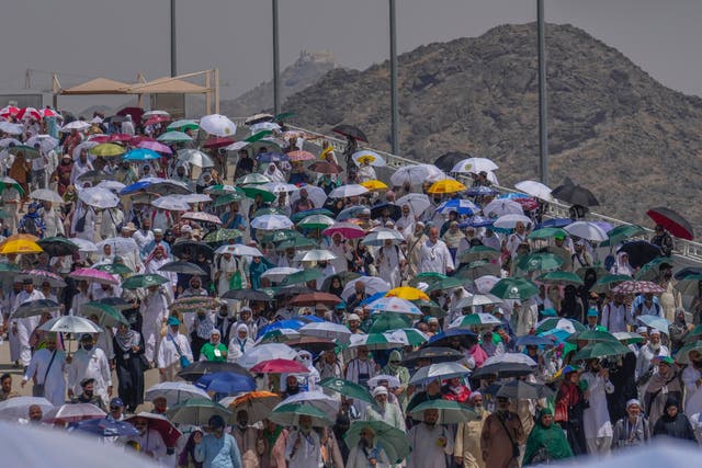 <p> Pilgrims use umbrellas to shield themselves from the sun</p>