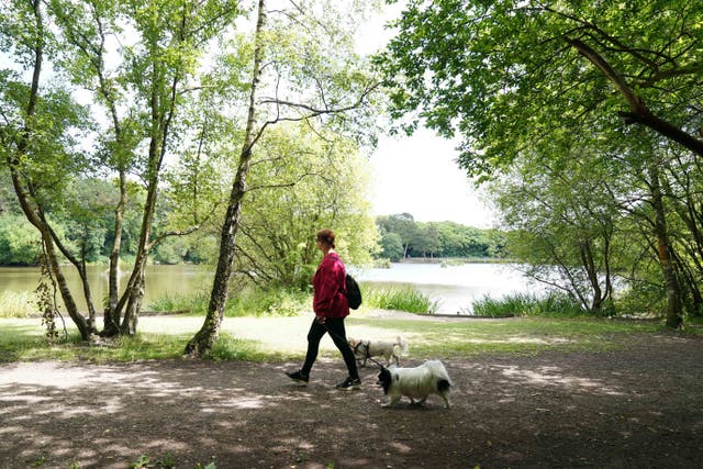 Walking brings huge benefits for people with low back pain, a study has found (Jacob King/PA)