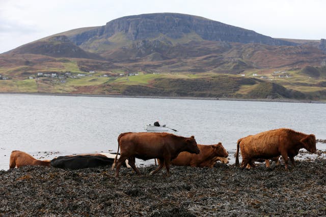 The Scottish Conservatives will set out their rural manifesto at the Royal Highland Show (Andrew Milligan/PA)