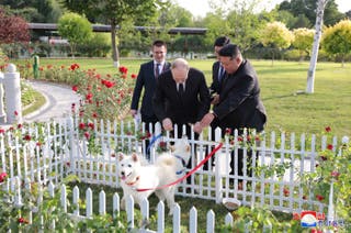 Vladimir Putin pet dogs during a walk in the garden of the Kumsusan Guesthouse in Pyongyang