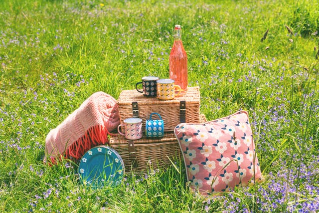 10 sunny ways to pimp up your picnic (Enamel Happy/PA)