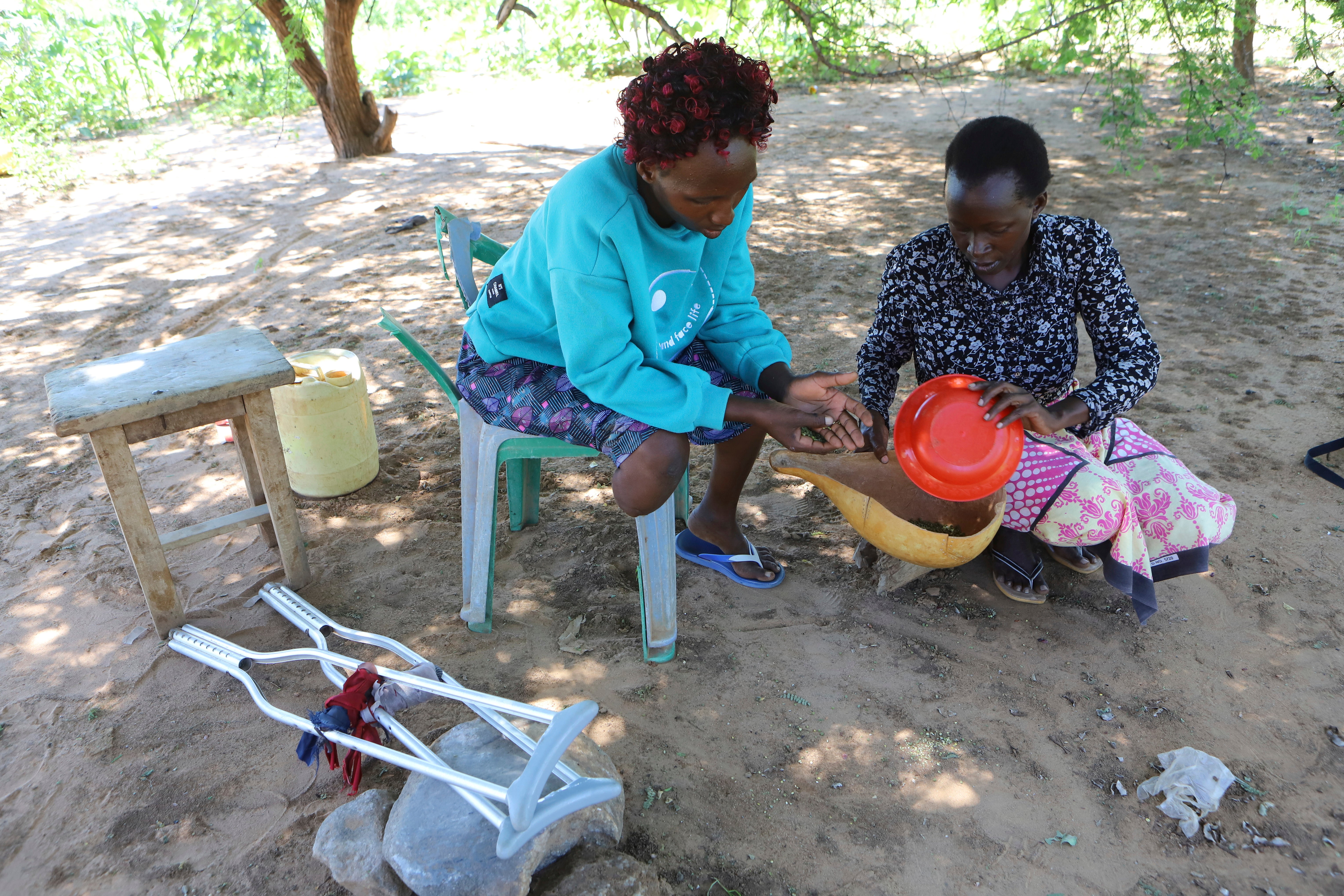 Kenya Snakes Antivenom