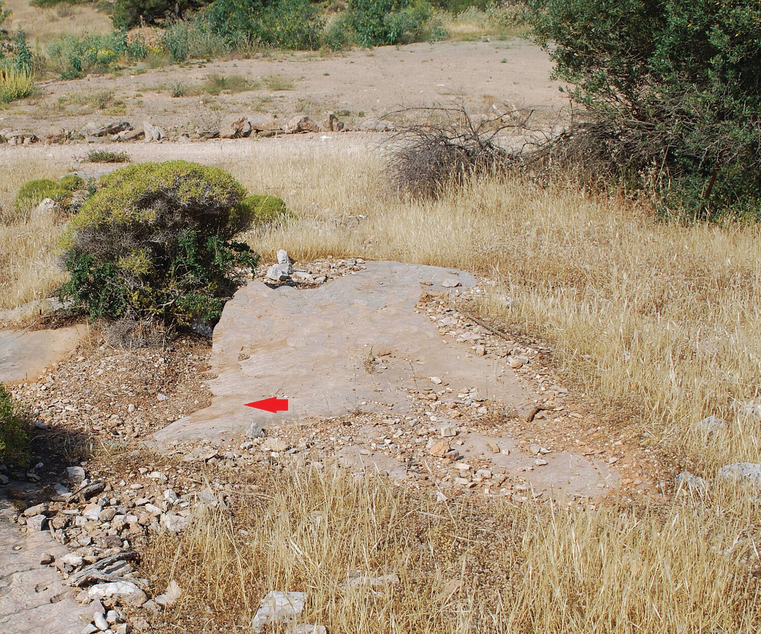 Patch of bedrock where the graffito is located (arrow); the earthen road is visible in the background