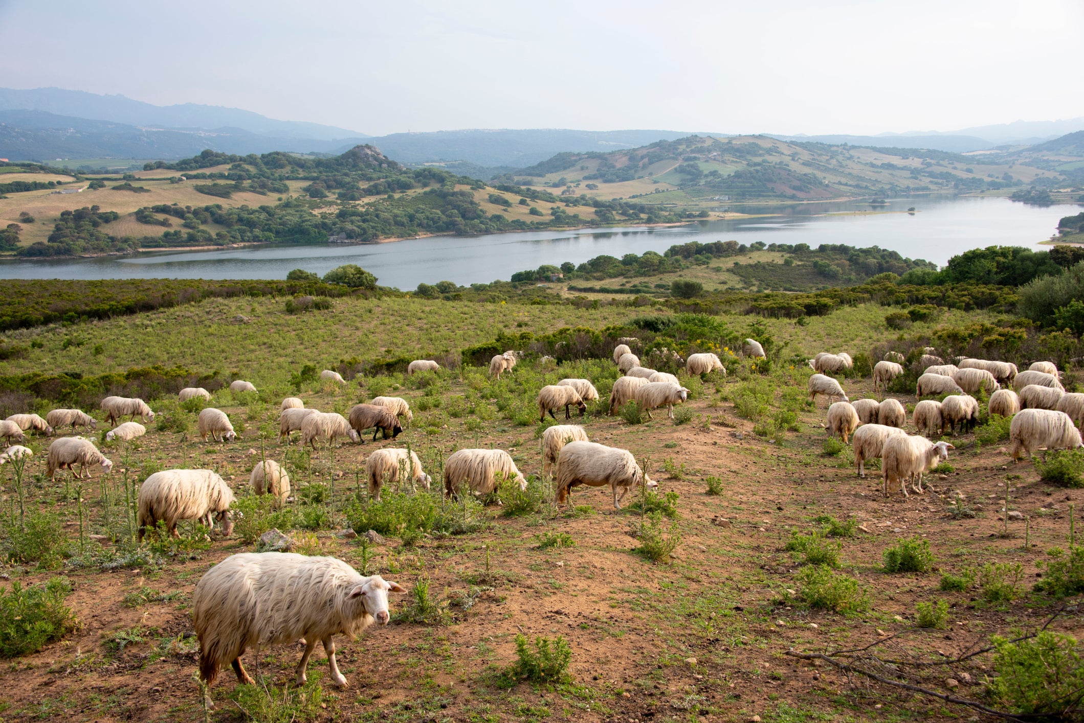 There are 30 stages to the 311-mile Santa Barbara Mining trail