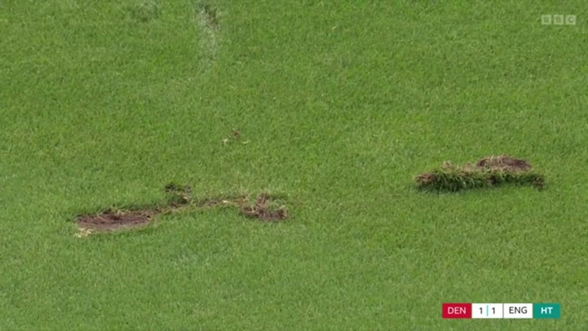 Rio Ferdinand criticises state of pitch in England’s game against Denmark