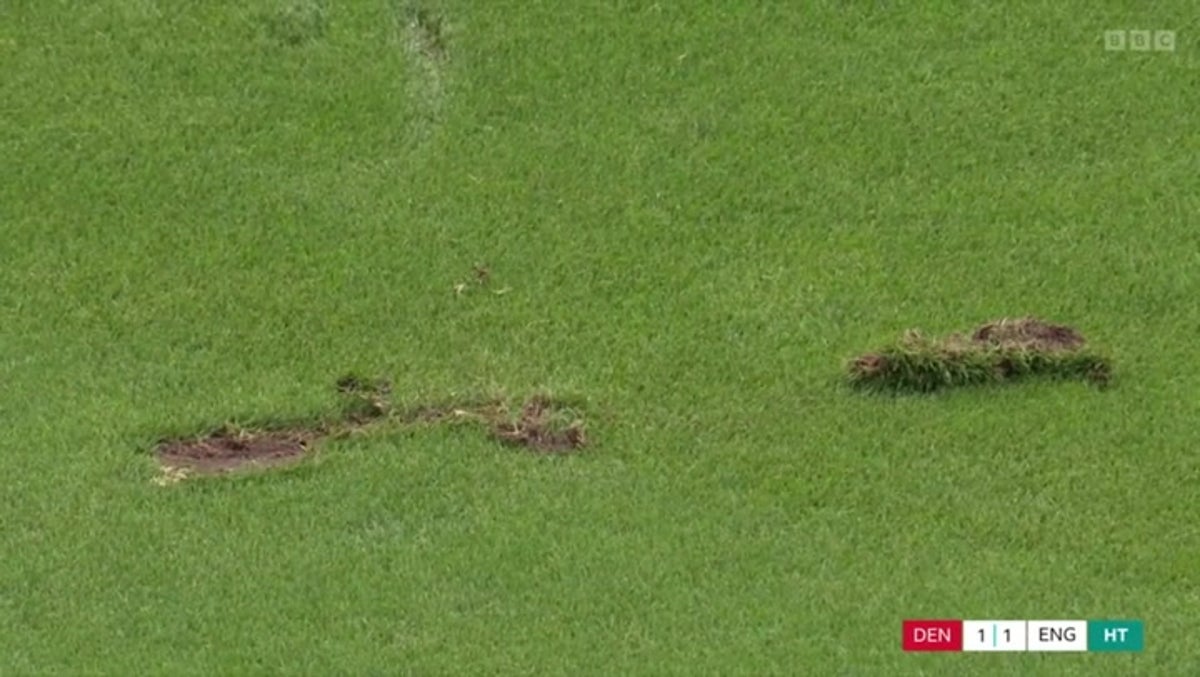 Rio Ferdinand criticises state of pitch in England Denmark match