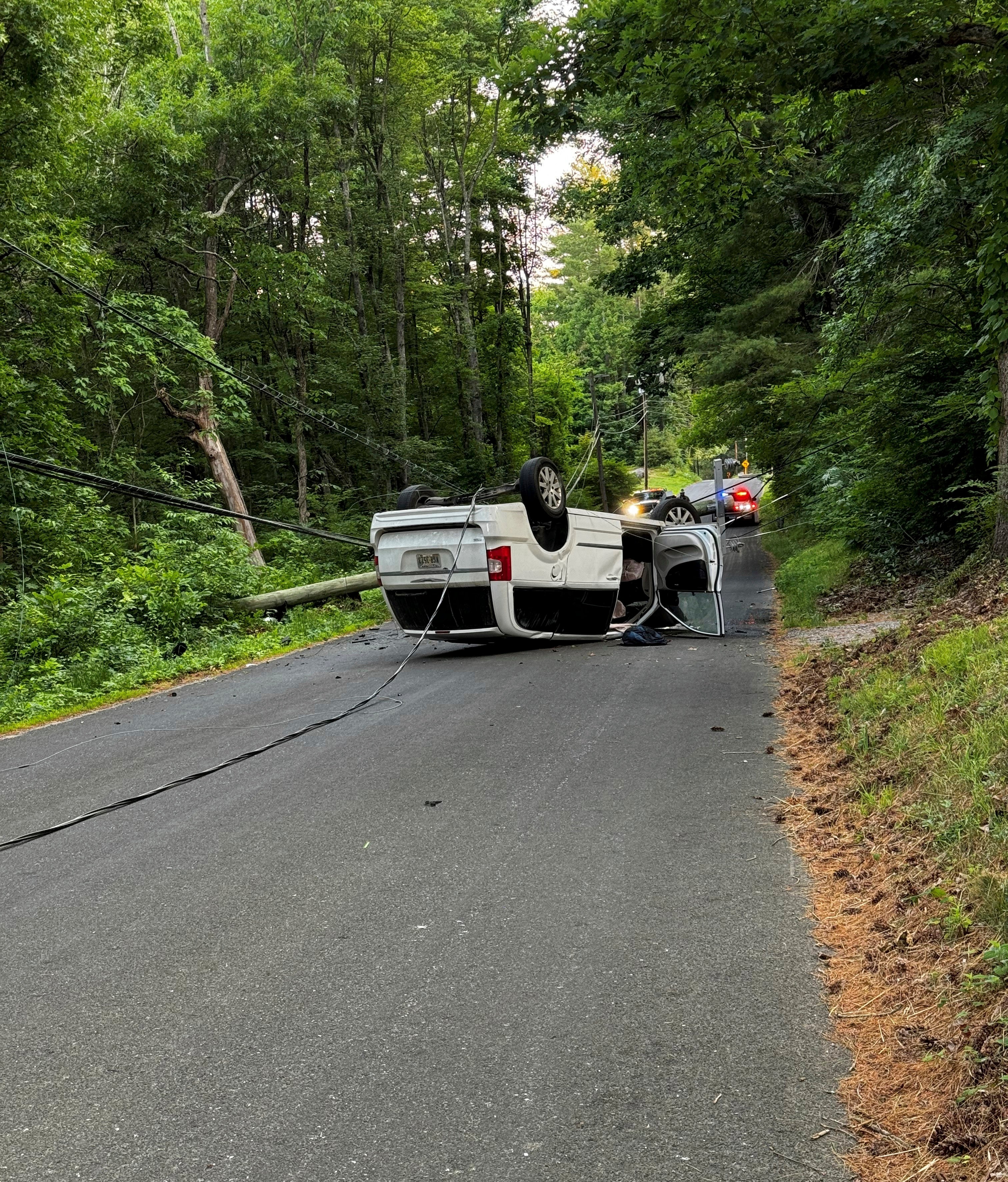 Minivan Crash Puppies