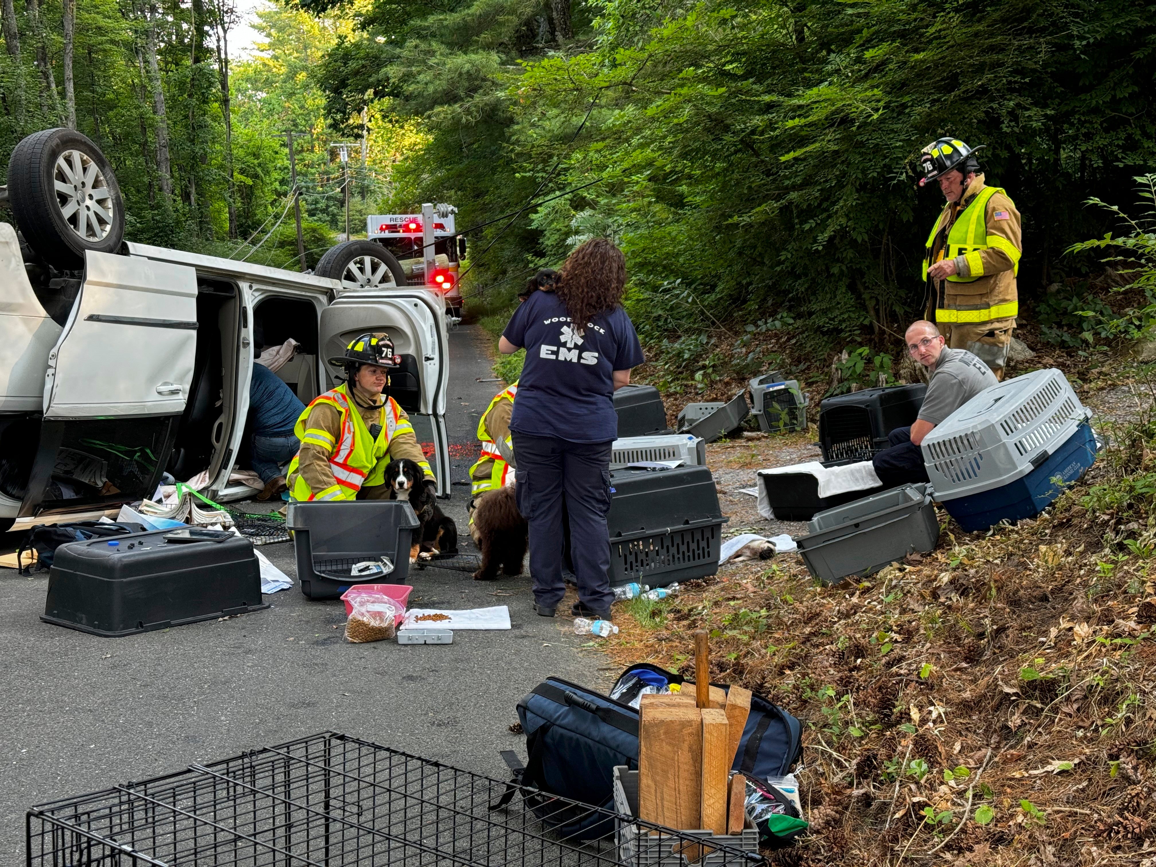 Minivan Crash Puppies