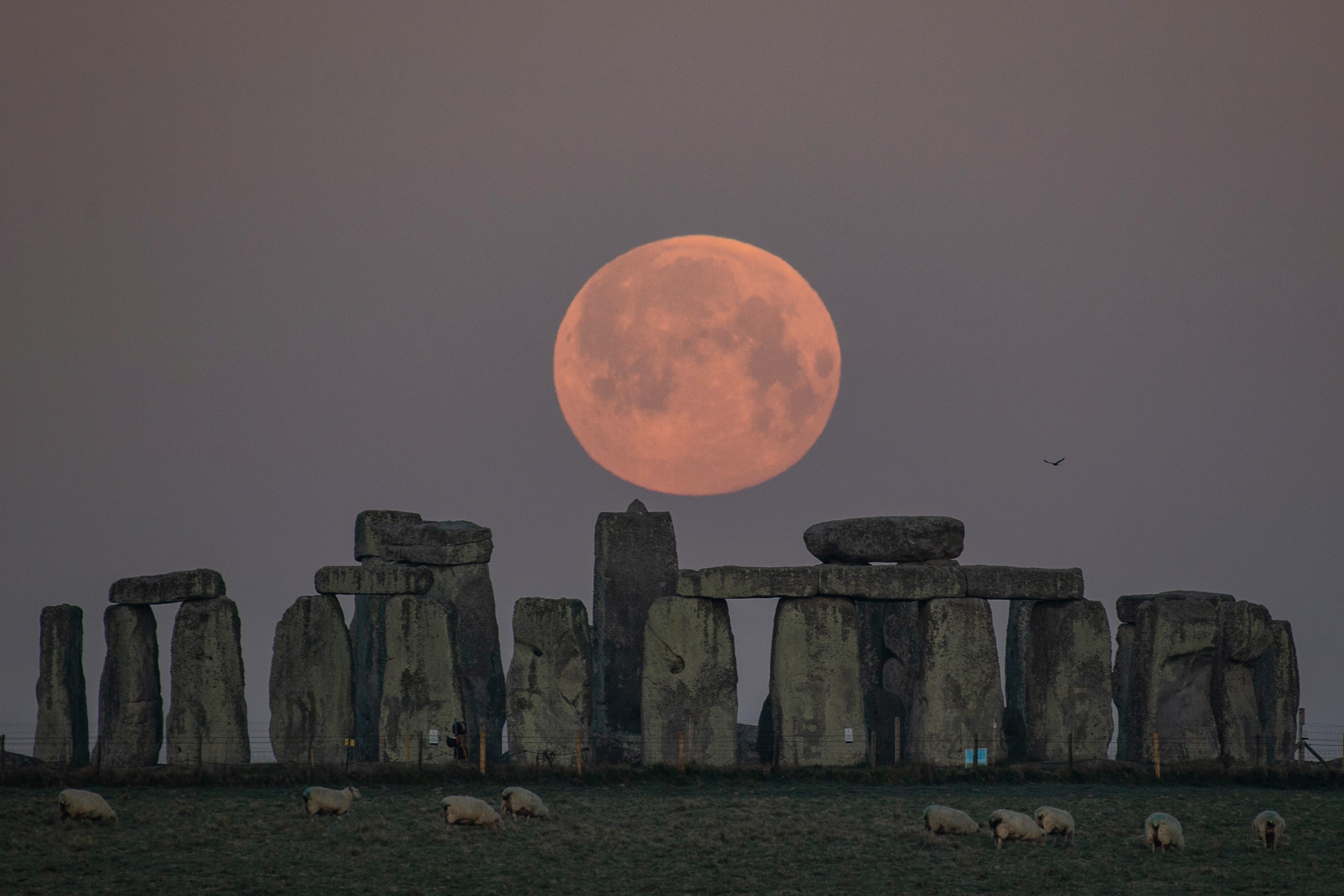 A full moon will appear over Stone Henge in Wiltshire during the Summer Solstice on 20 June, 2024 - weather permitting