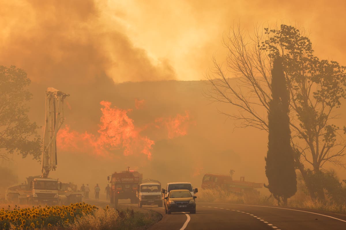 Dozen people killed in devastating agricultural fire sweeping across south east Turkey