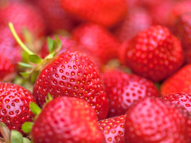 <p>British strawberries are currently in season </p>