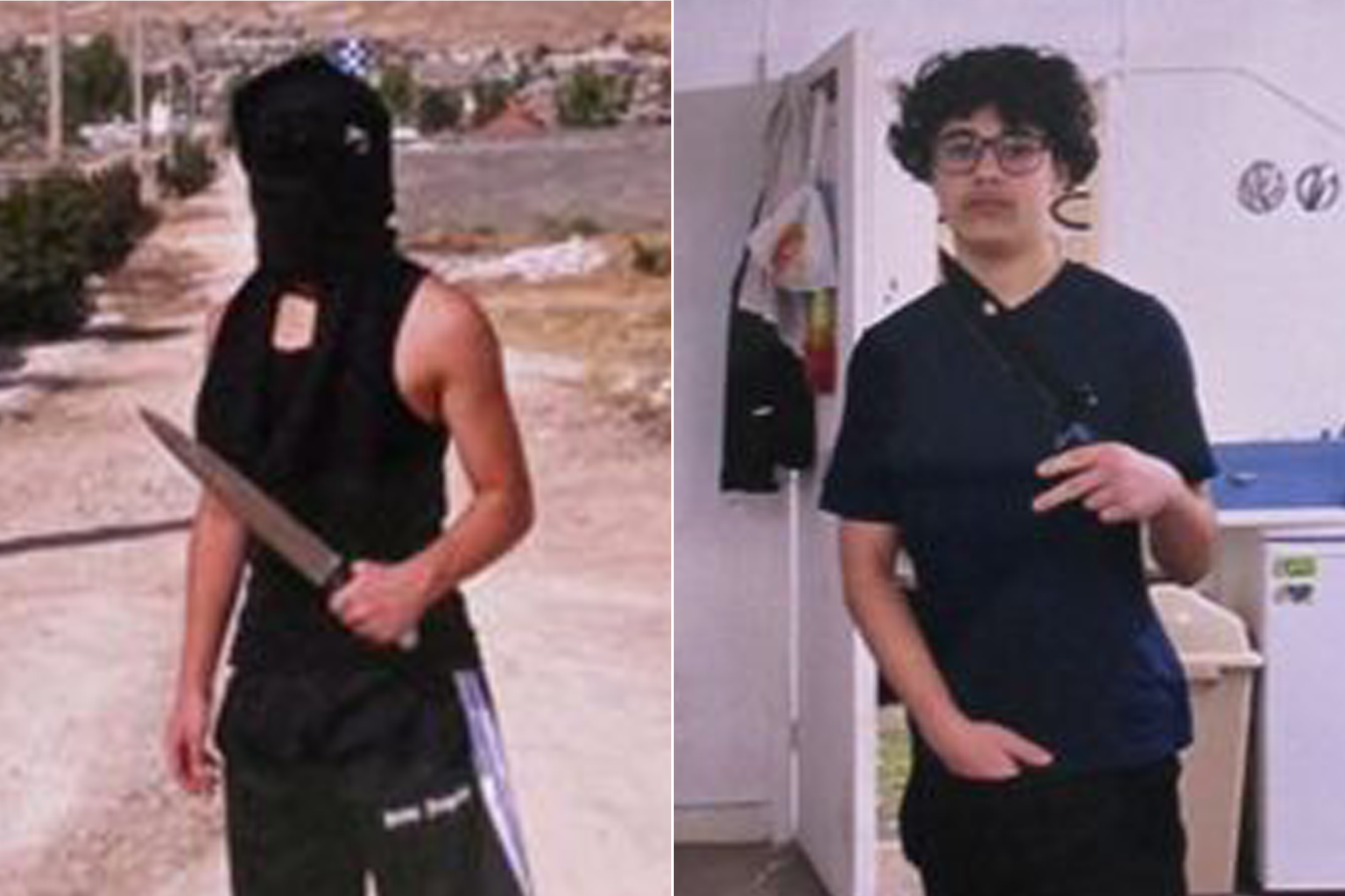 Bardia Shojaeifard, pictured holding a knife, targeted “big hearted” and “caring” Alfie Lewis, 15