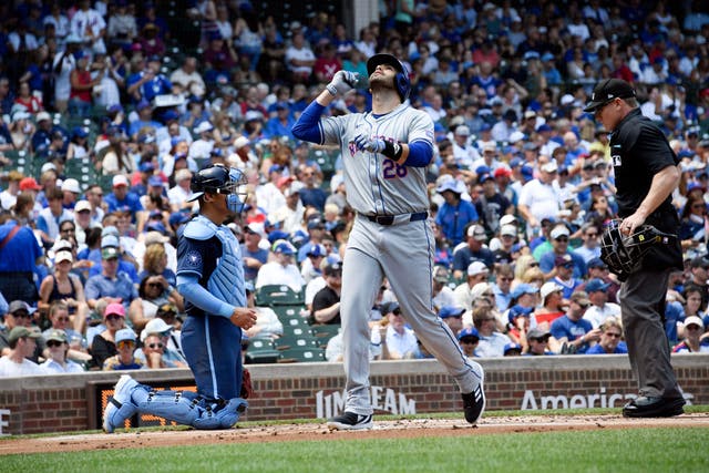 METS-CACHORROS