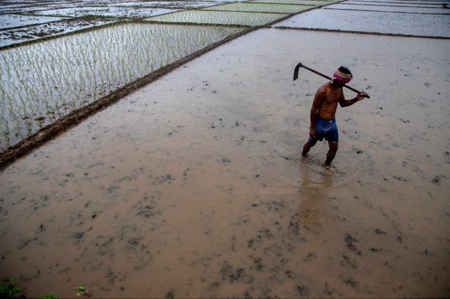 Climate India Monsoons