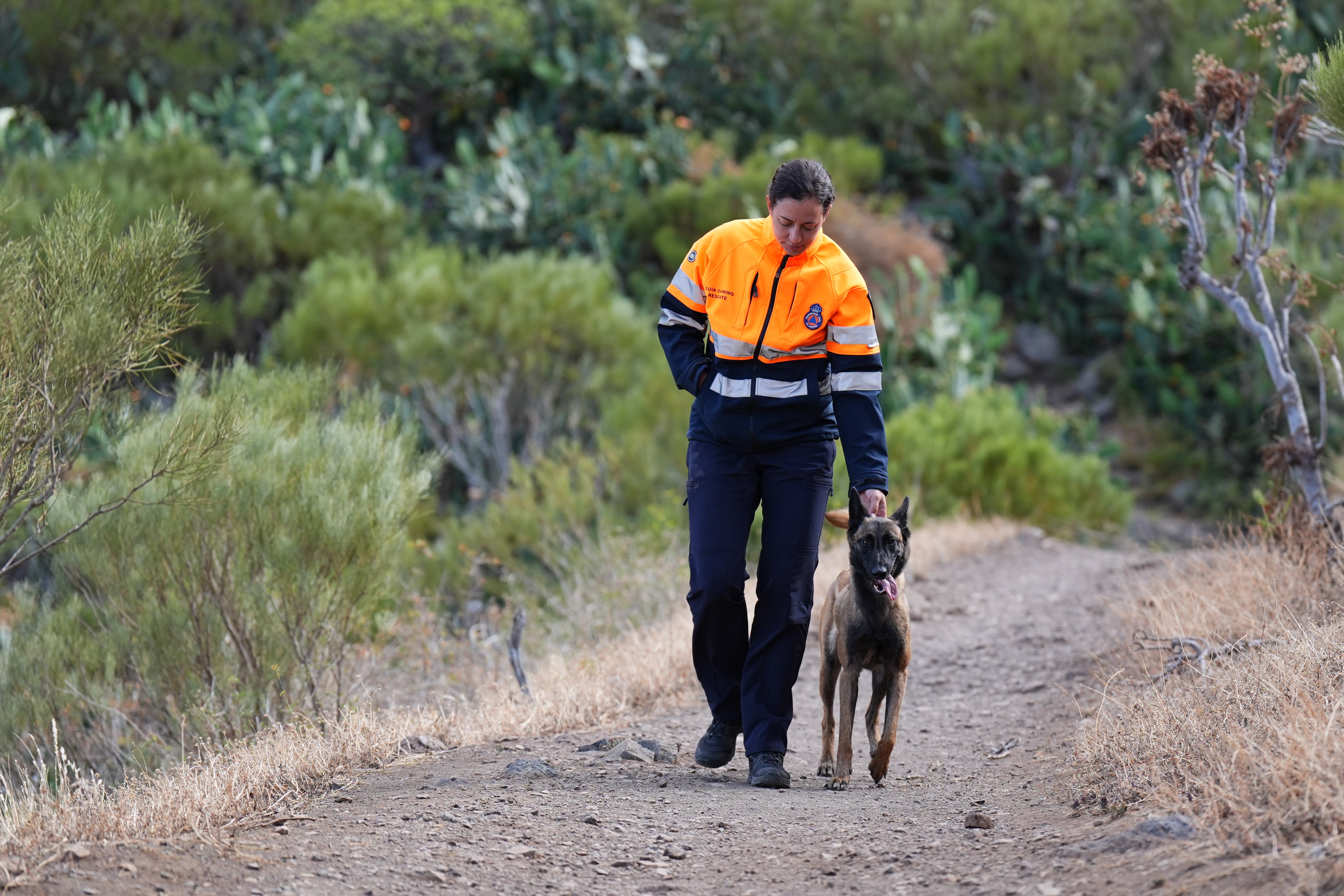 A search team member with a search dog near the village of Masca, Tenerife on Saturday
