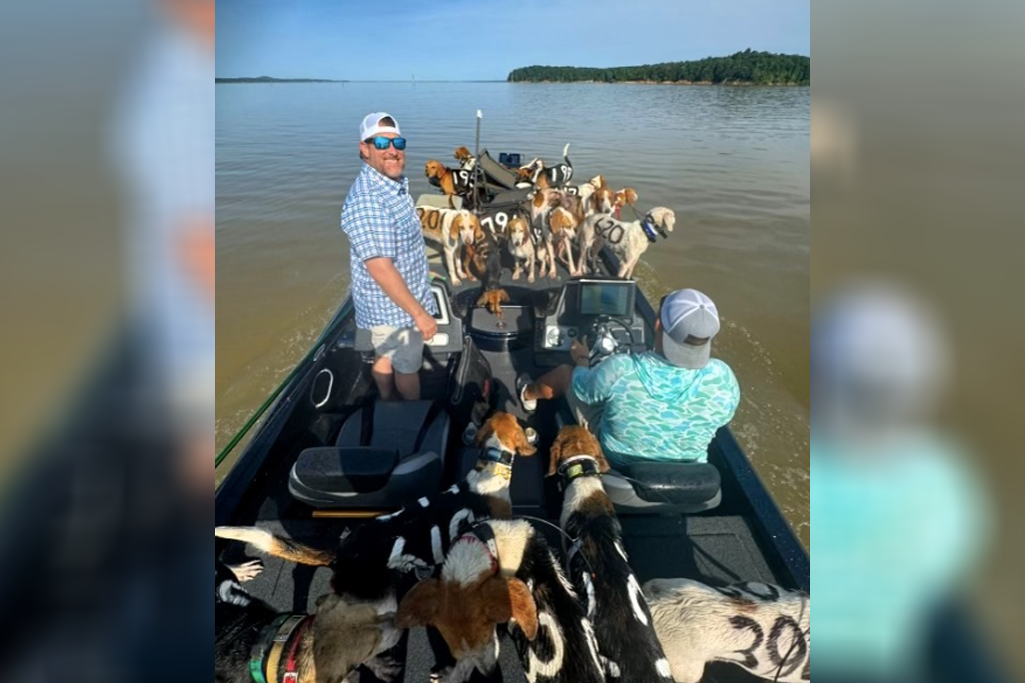 The three men grabbed the exhausted dogs by their collars and dragged them into their boat