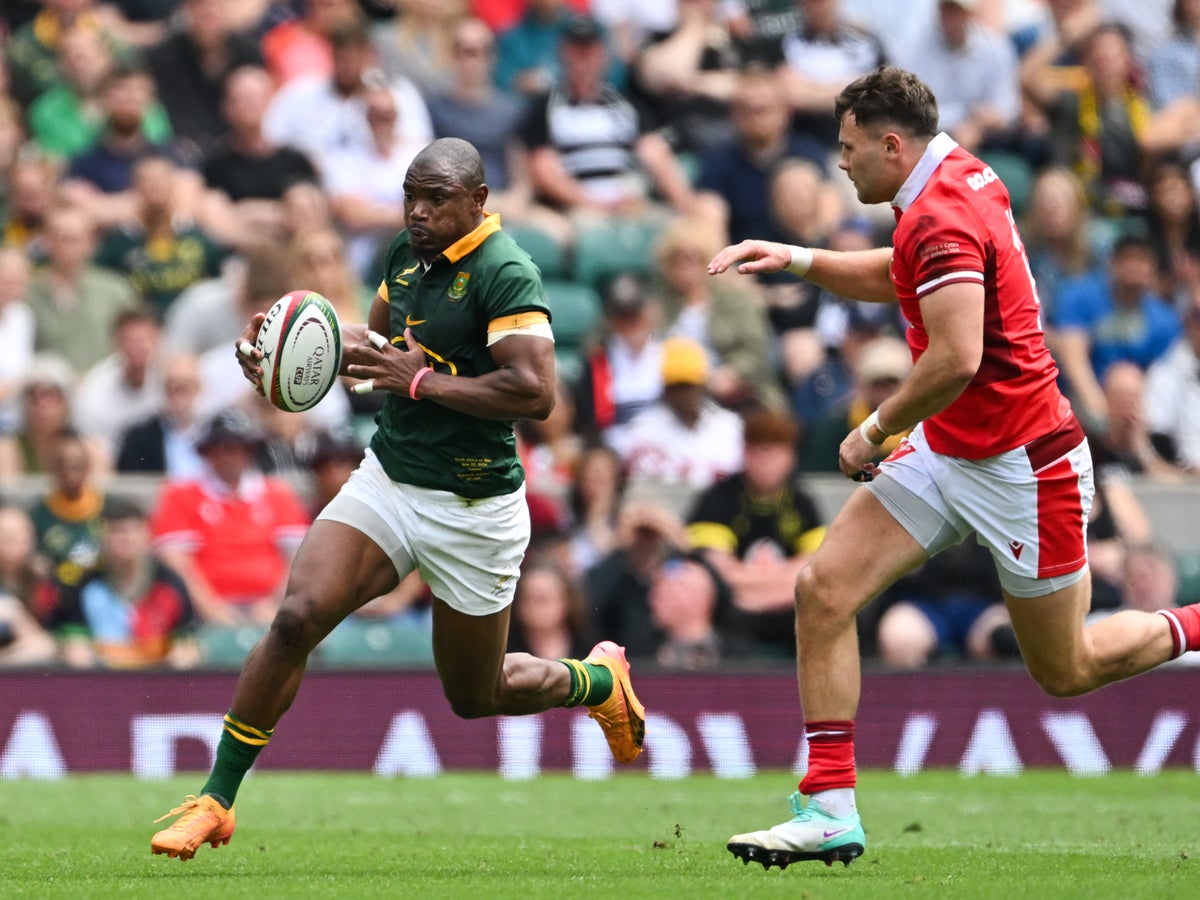 Makazole Mapimpi inspires relentless Springboks past resilient Wales ahead of Ireland series