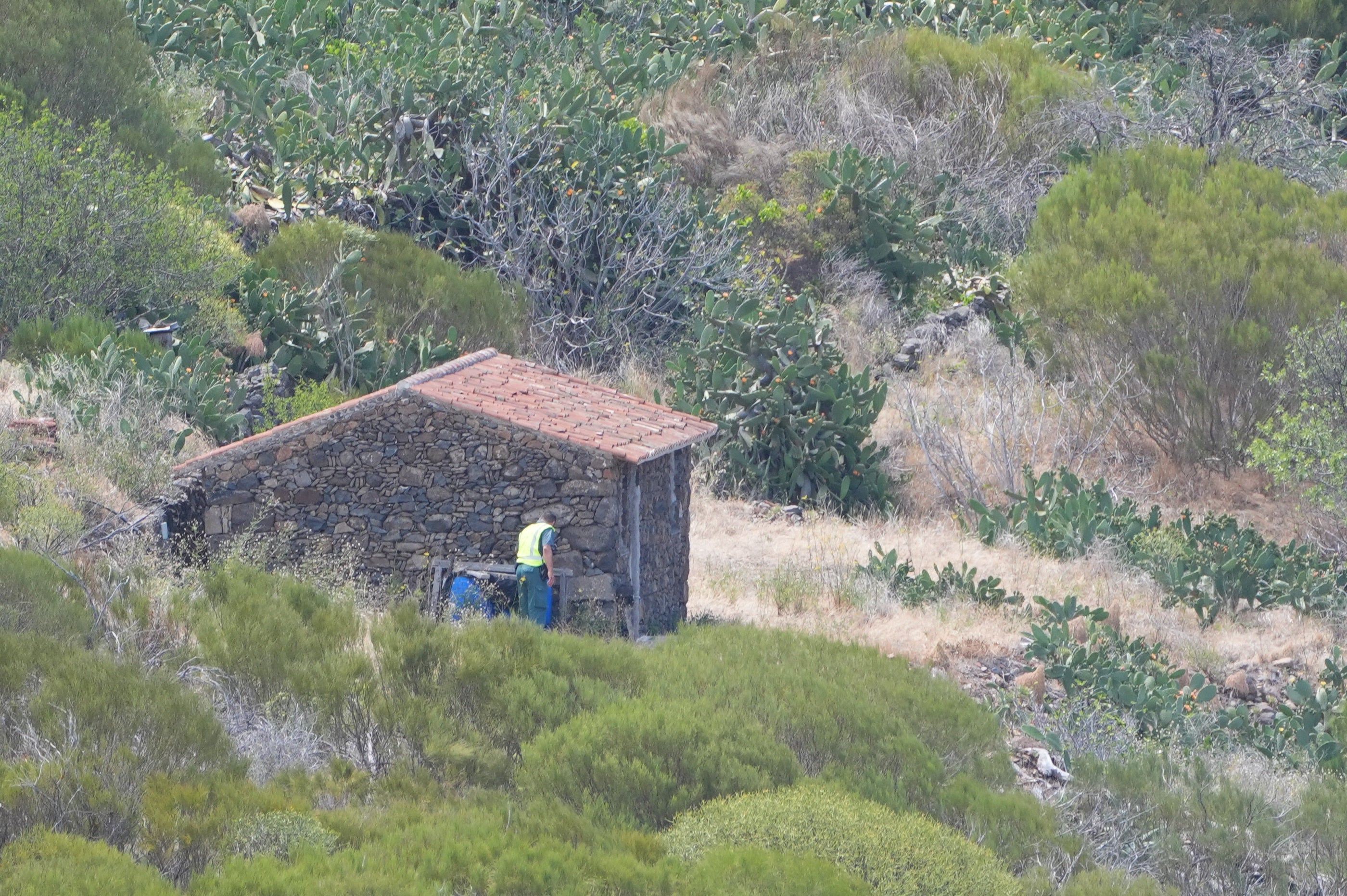A member of a search and rescue team search near the last known location of Jay Slater
