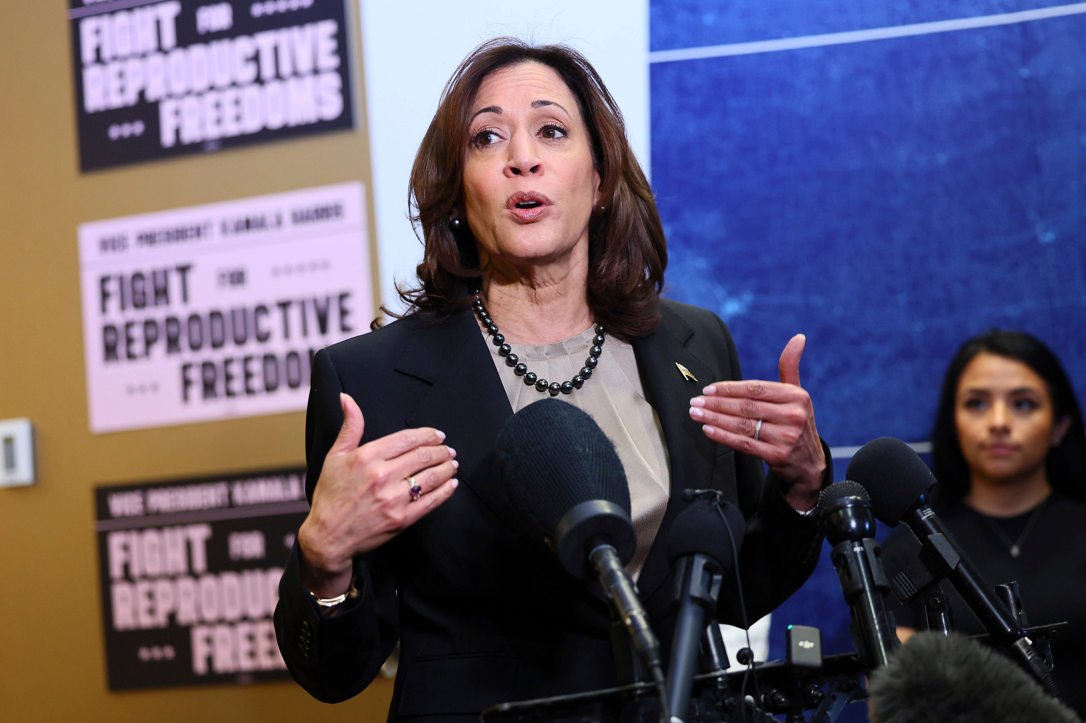 Vice president Kamala Harris would be the obvious person to step in to fill Biden’s shoes given her constitutional duties –?but her own run for the nomination in 2020 was notably unsuccessful