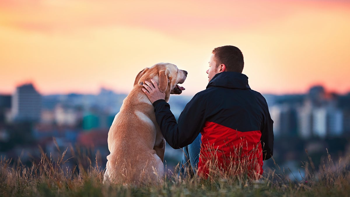 7 products and services for a healthier, happier pet