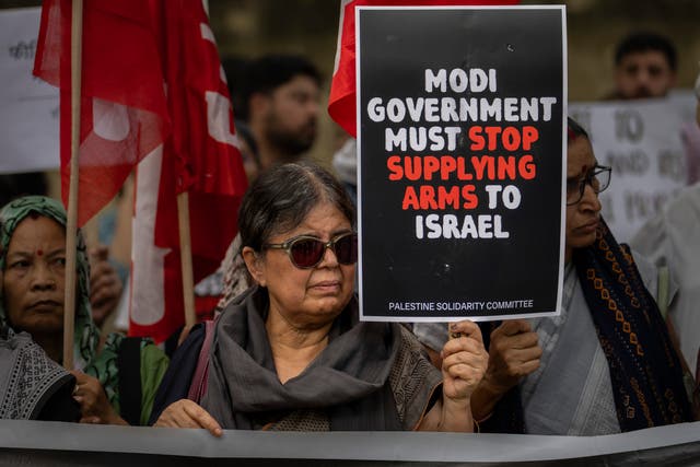 <p>A woman holds a placard denouncing the war in Gaza and to show solidarity with the Palestinians during a protest in New Delhi, India</p>