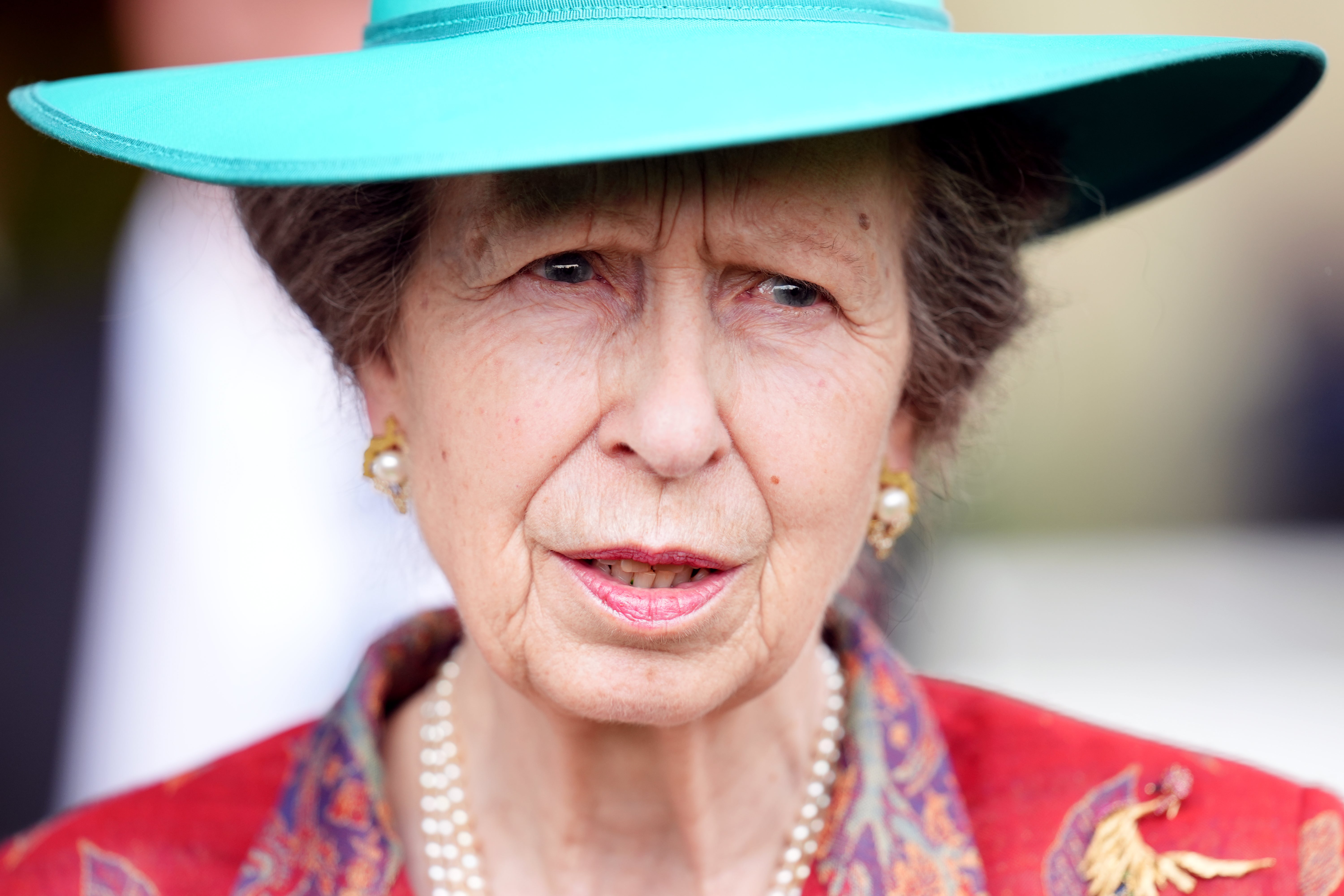 Palace provides update as Princess Anne hospitalised after 'being kicked by horse' - latest | The Independent