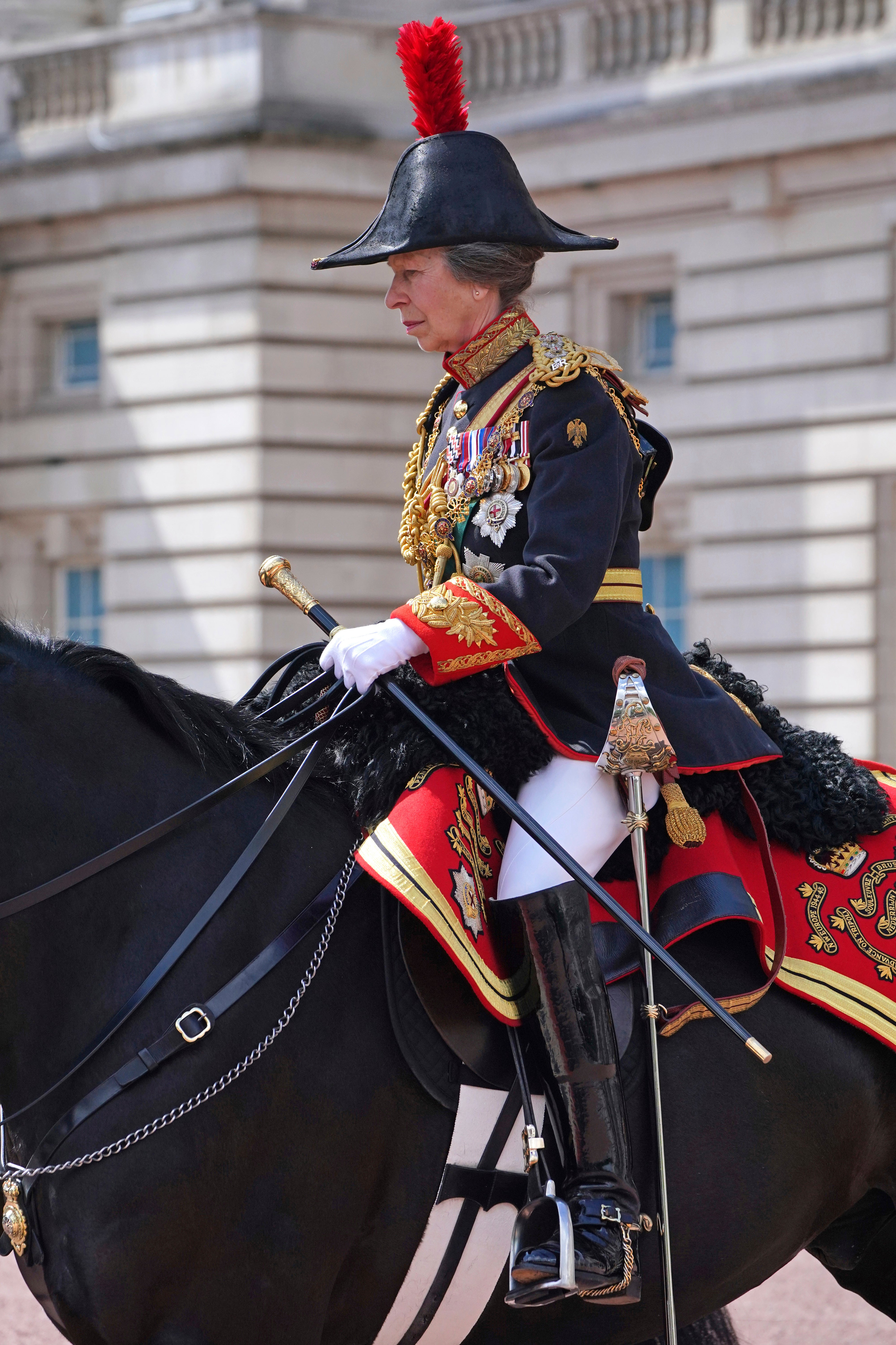 Princess Anne is an experienced horsewoman.