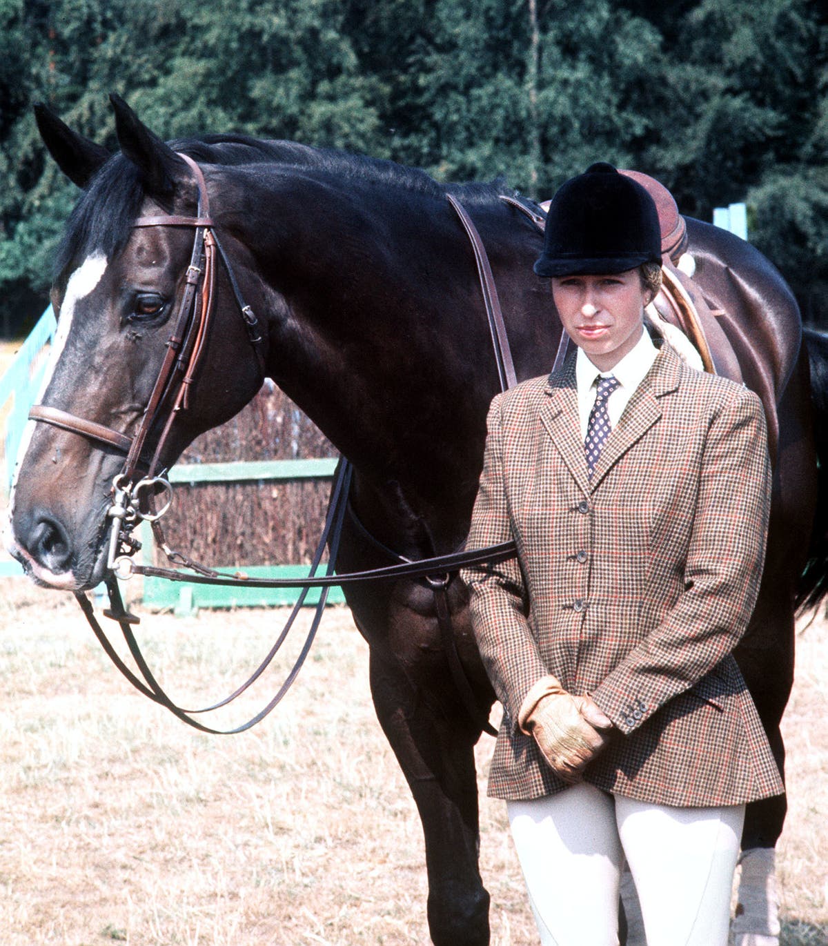 Princess Anne suffered previous concussion from horse while competing in the Olympic Games Princess Anne suffered previous concussion from horse while competing in the Olympic Games