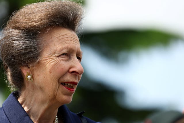 The Princess Royal (Hannah McKay/PA)