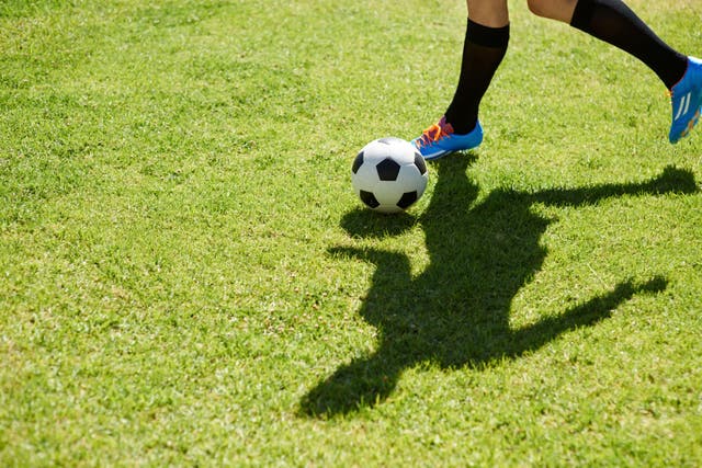 Footballer was the joint top career choice for children alongside gaming while being prime minister came bottom, polling suggested (Alamy/PA)