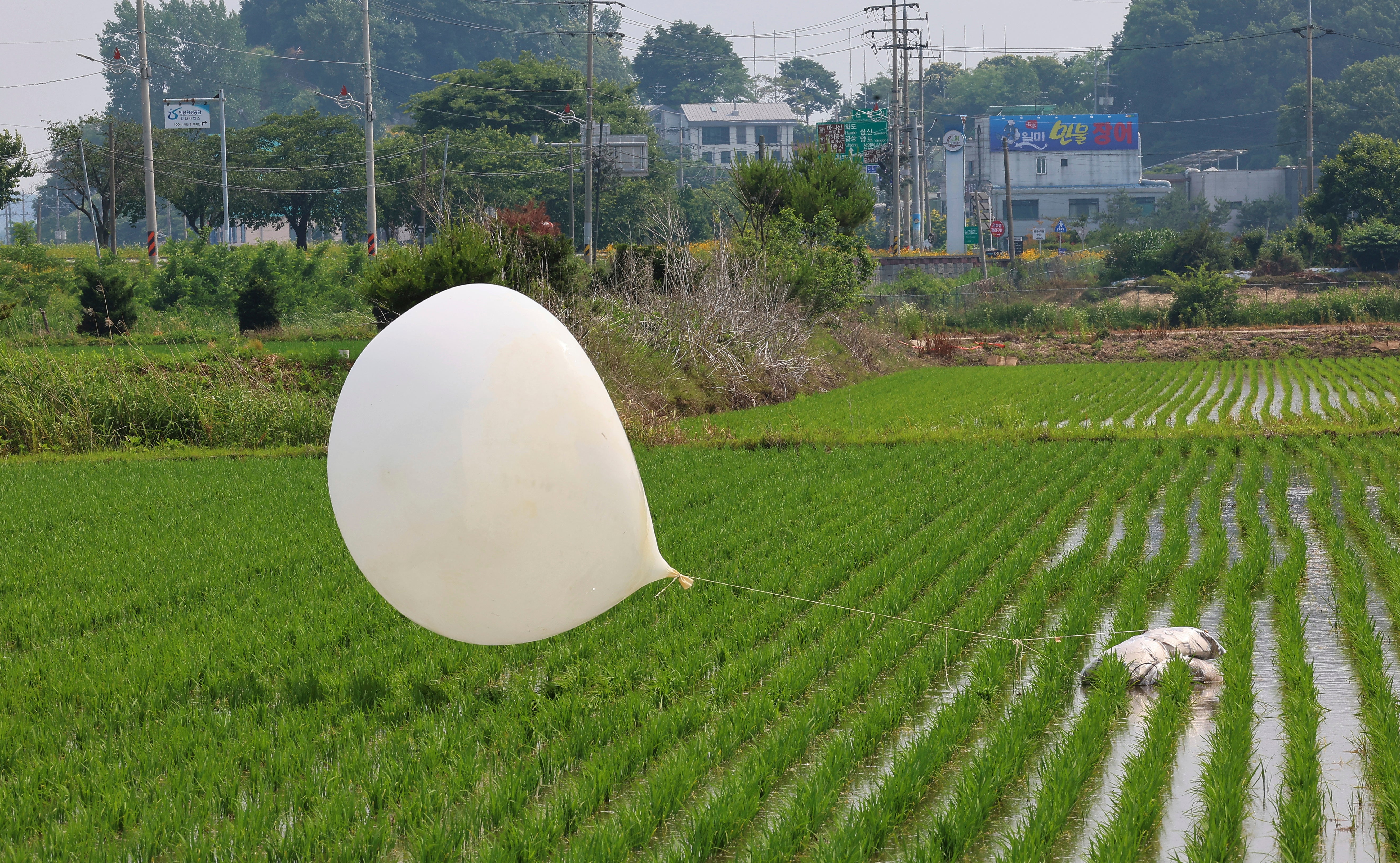 A balloon presumably sent by North Korea, is seen in a paddy field in Incheon, South Korea, on June 10, 2024