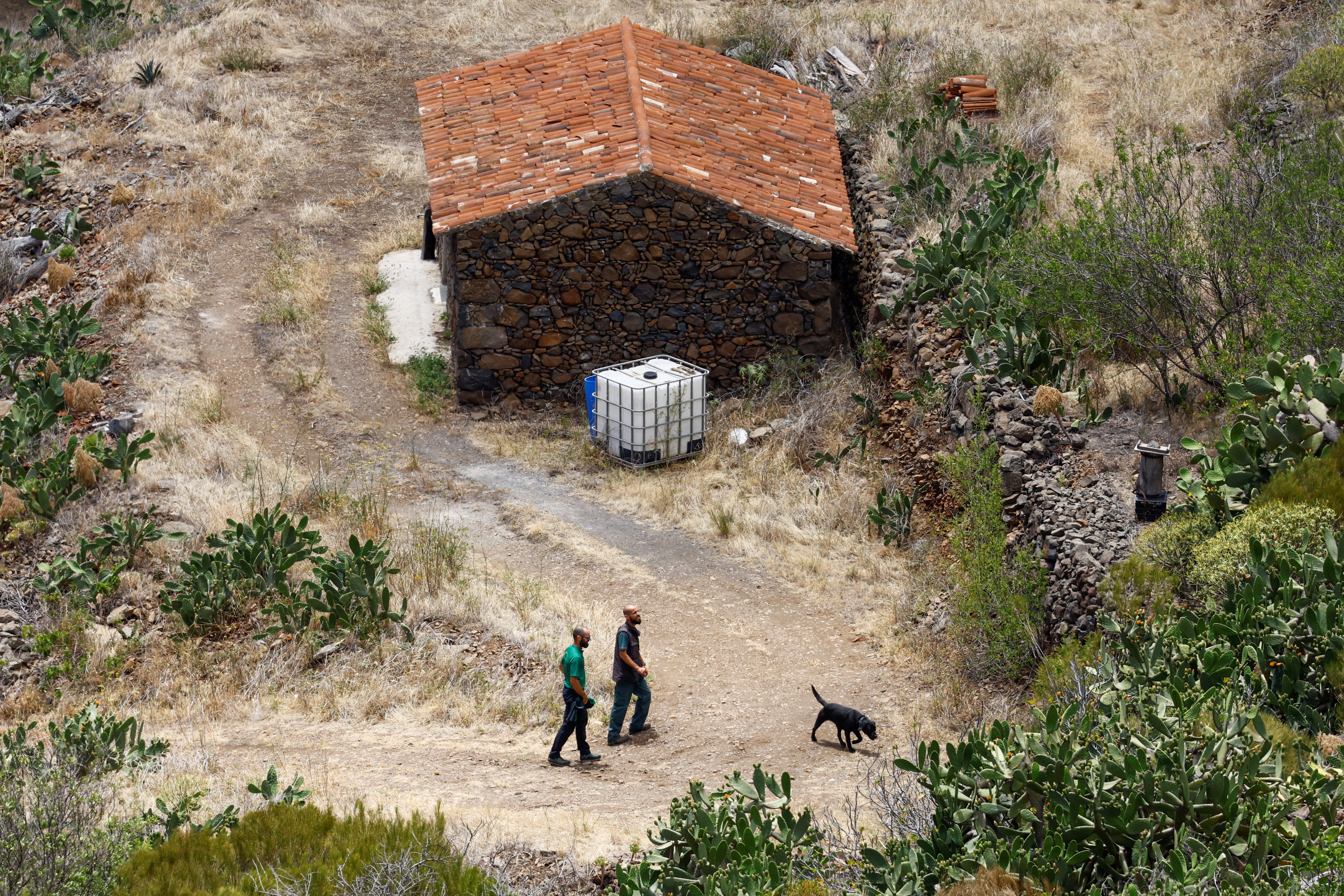 Guardia Civil officers use a dog to search for Jay Slater in the Masca ravine, on the island of Tenerife
