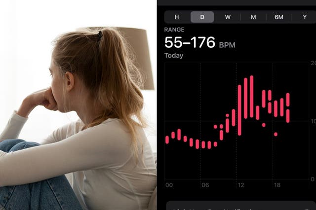 <p>In a viral Reddit post shared to the r/AppleWatch subreddit, a woman posted screenshots of her fluctuating heart rate date after her longtime partner had called it quits</p>