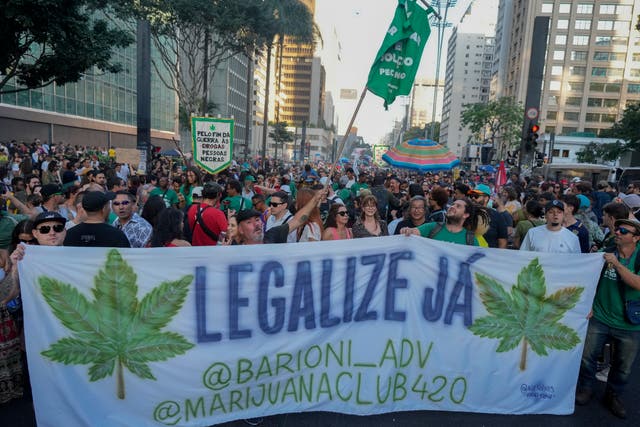 Brazil Marijuana