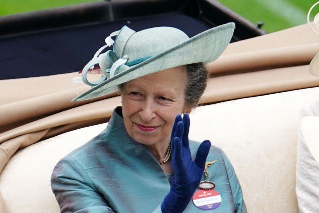 The Princess Royal is being treated for concussion (David Davies/PA)