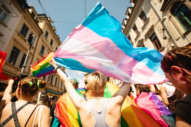 <p>How to support your transgender relatives as governments take away their rights</p>