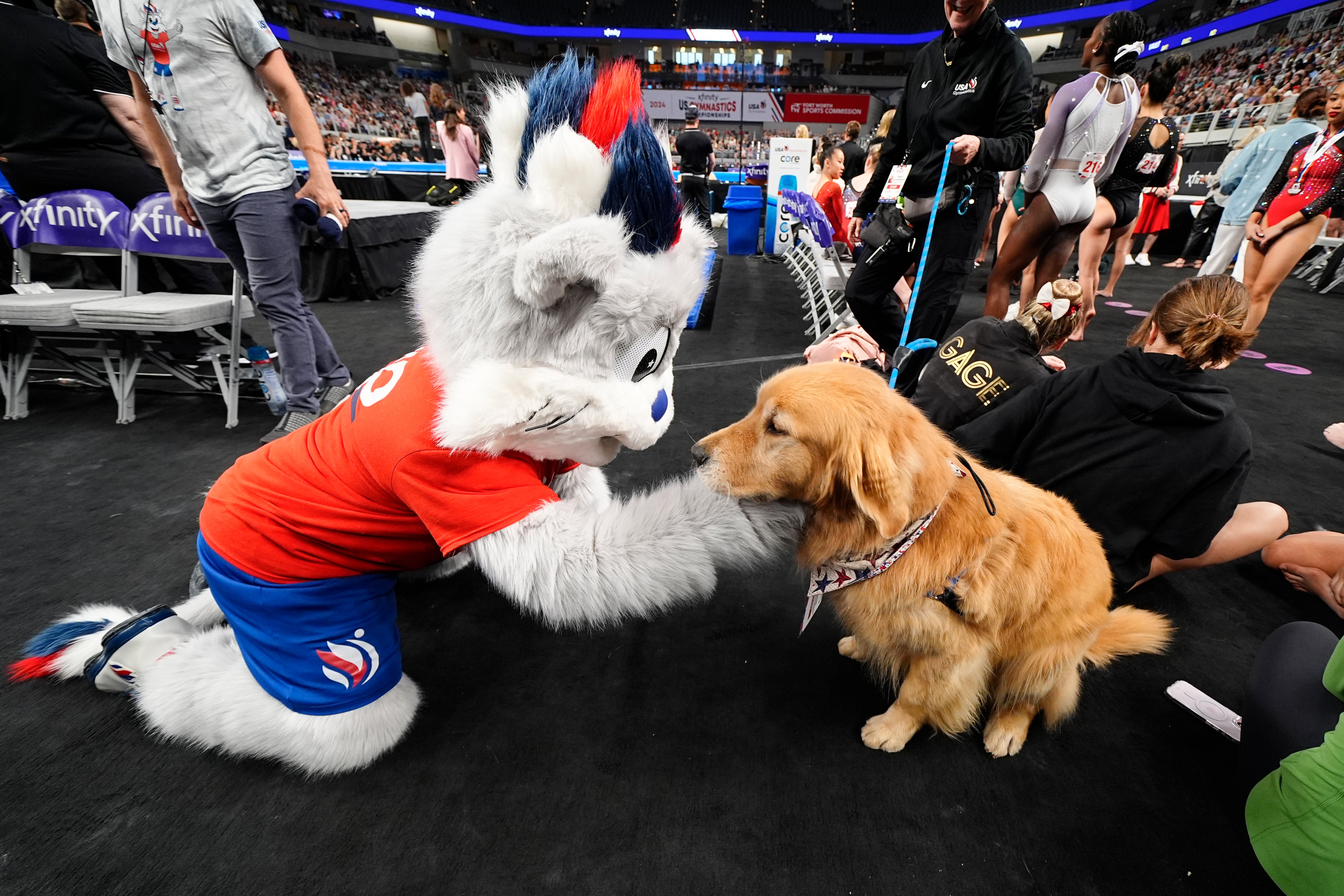 USA Gymnastics Overhaul