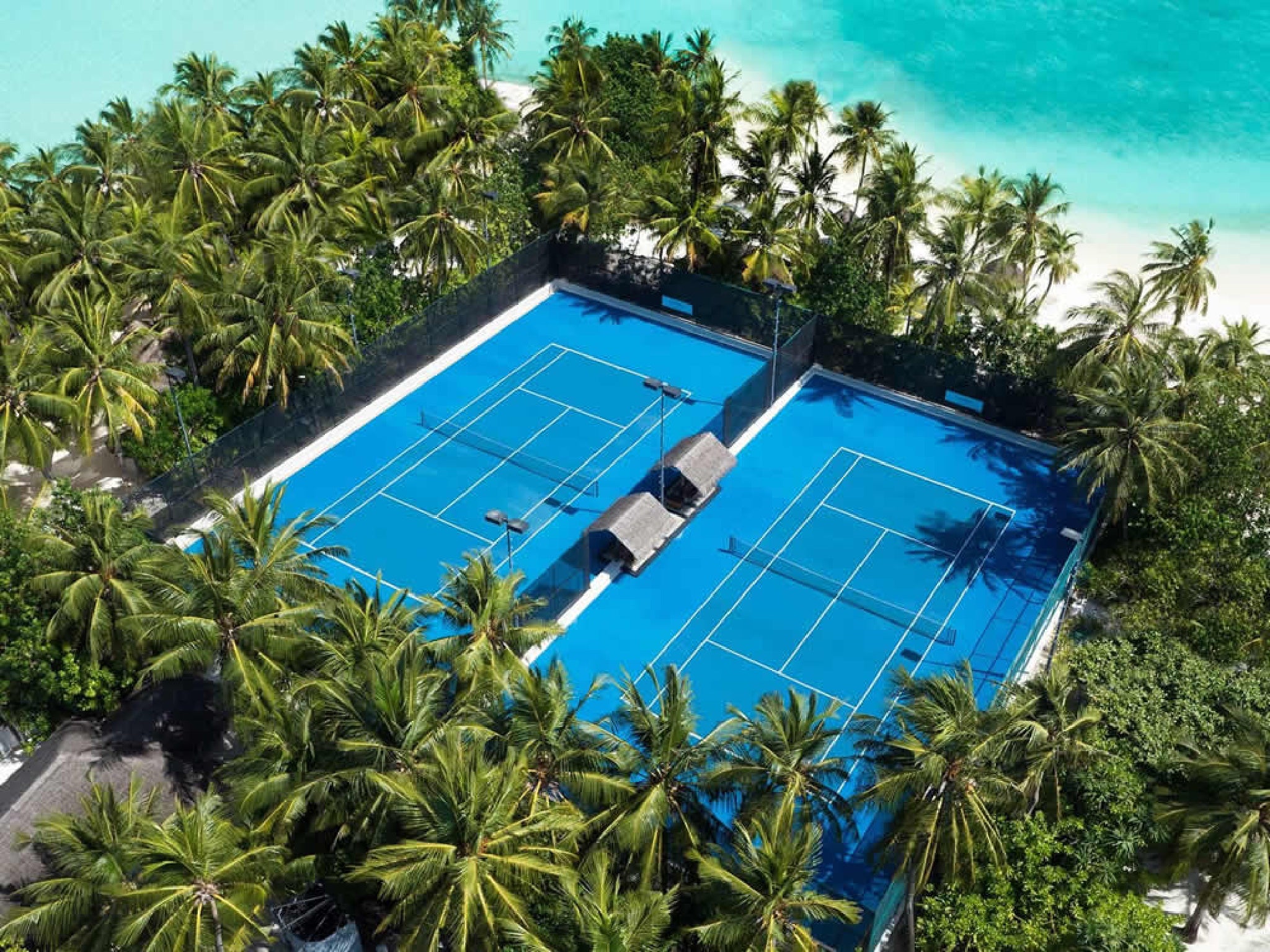 Play among the palm trees in the Maldives