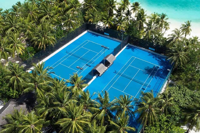 <p>Play among the palm trees in the Maldives </p>