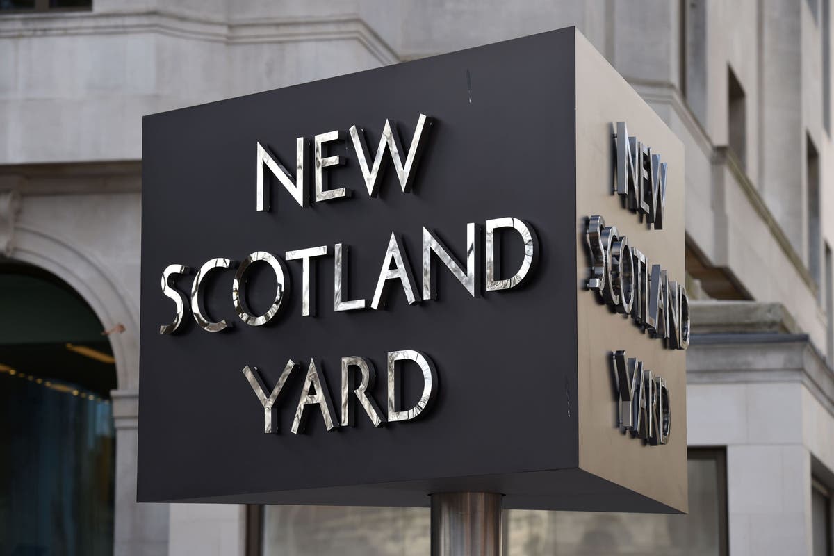 Former Met police officer accused of raping woman he met on duty