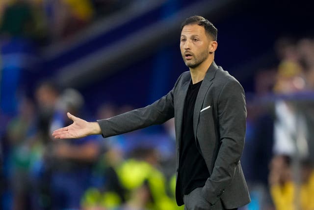 <p>Domenico Tedesco has been sacked as manager of Belgium</p>