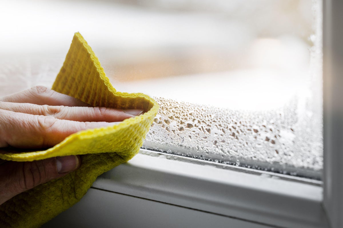 Why do I have condensation on my windows? Here’s how to get rid of it fast