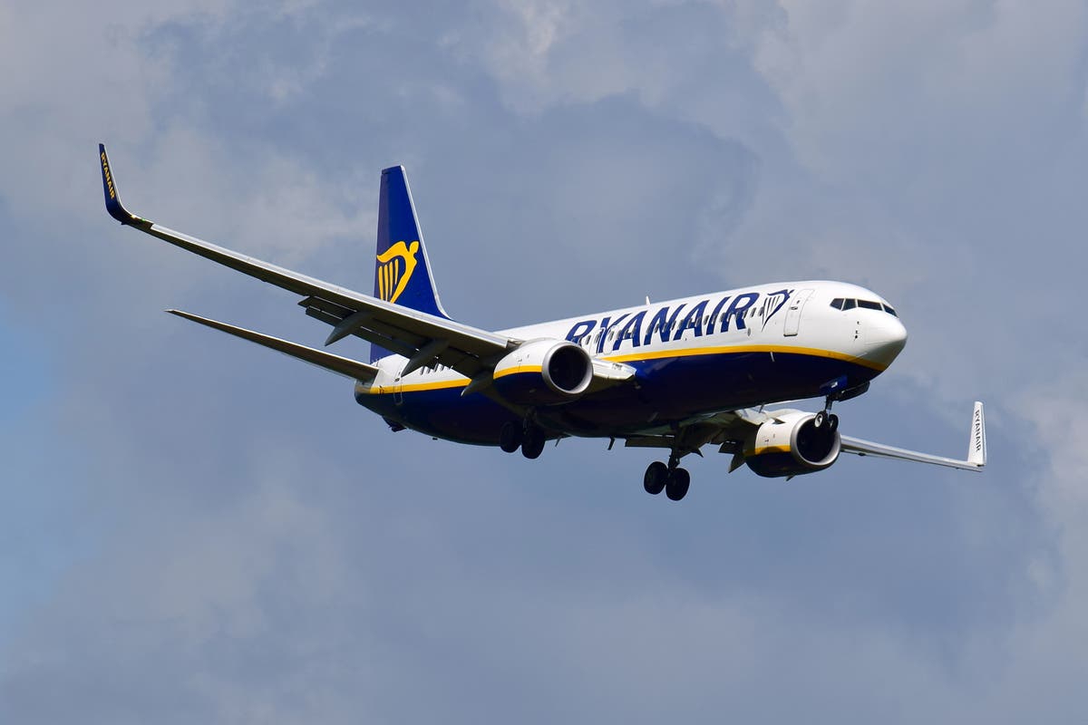 Investigation after Ryanair Boeing 737 plunges 2,000ft in 17 seconds reaching 321mph