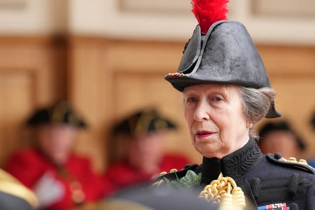 The Princess Royal was apparently hit by a horse’s head or legs (Maja Smiejkowska/PA)