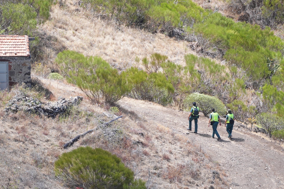 Let British police help in hunt for missing Jay Slater, ex-Met officer says
