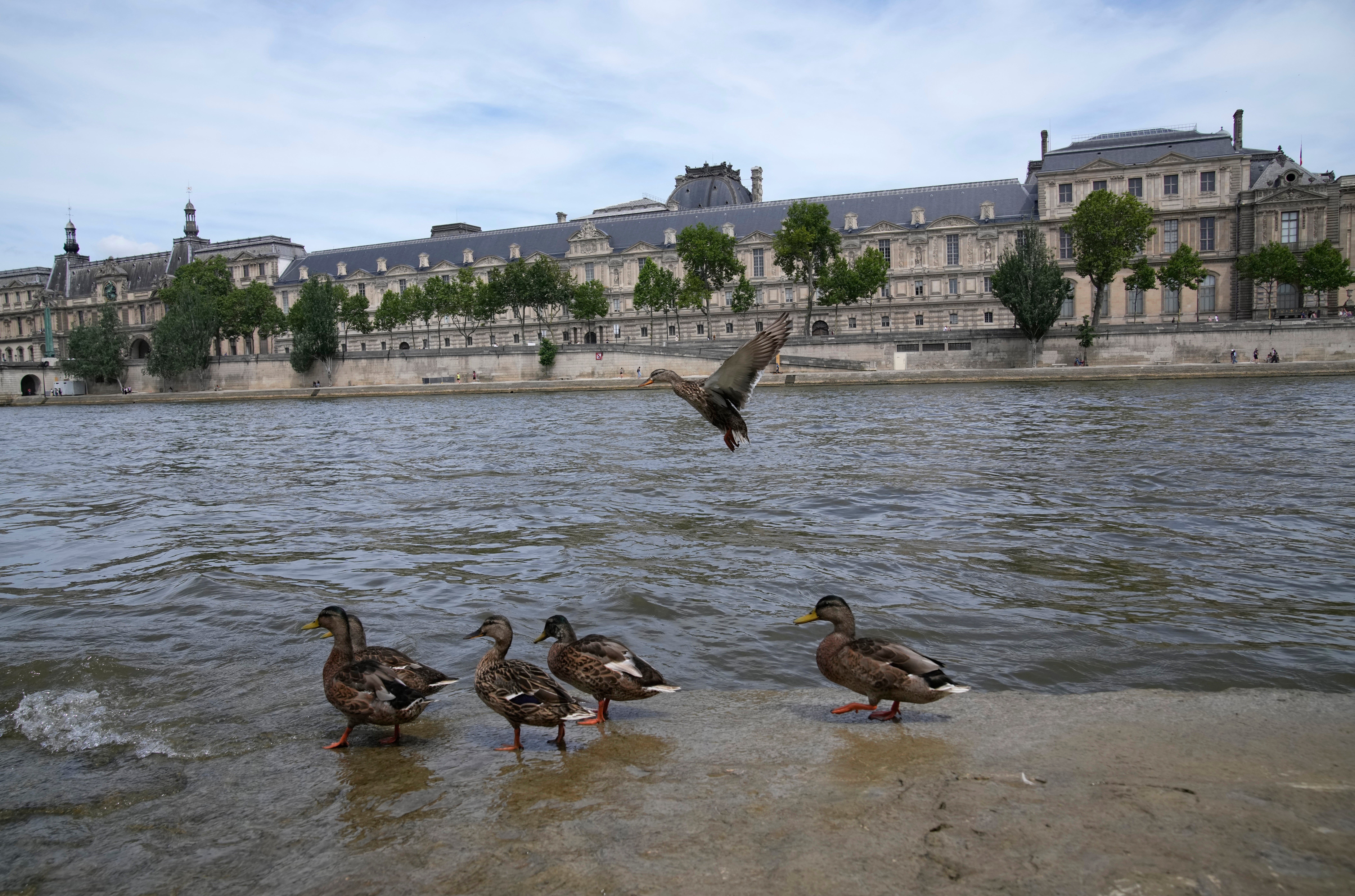Paris Olympics Seine Bacteria