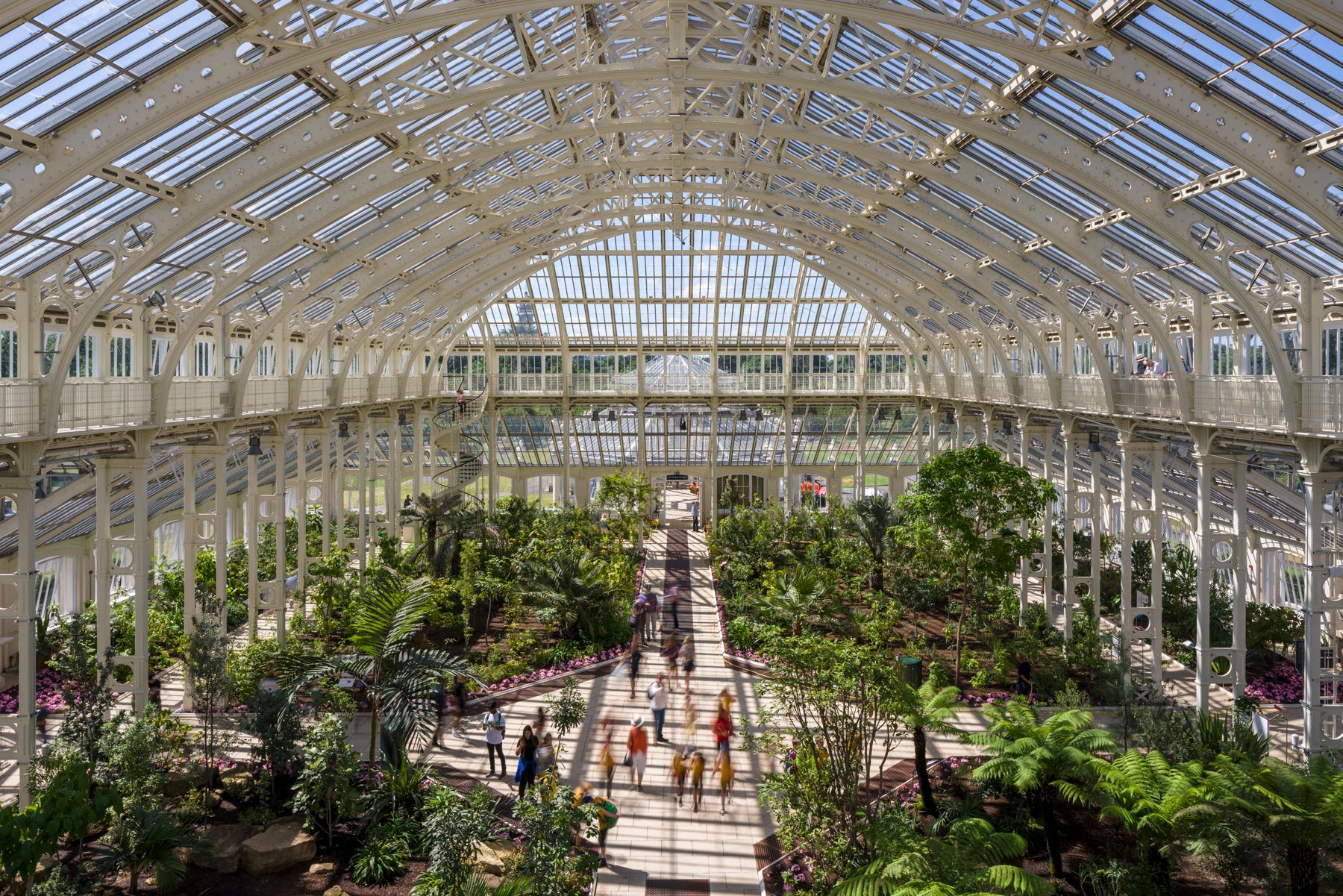 Discover rare and threatened plants in the impressive Temperate House at Kew