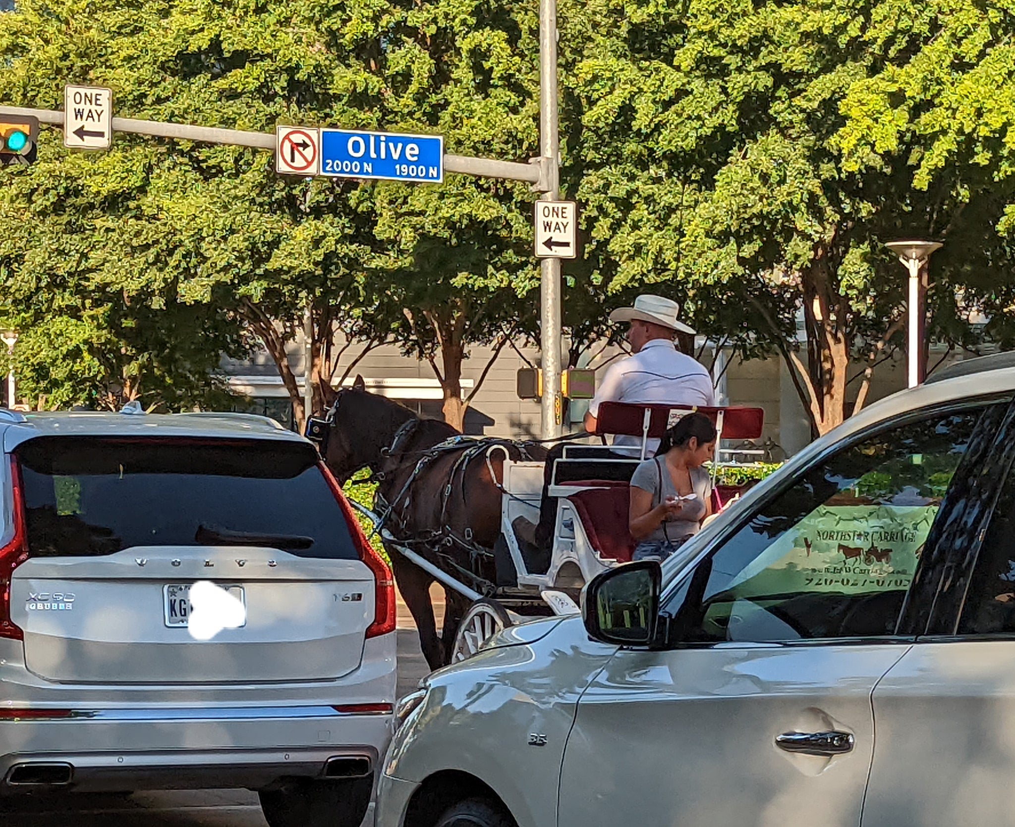 A horse-drawn carriage pictured on a Dallas, Texas street among cars. Activists in favor of the ban say the carriages can be dangerous for both horses and drivers