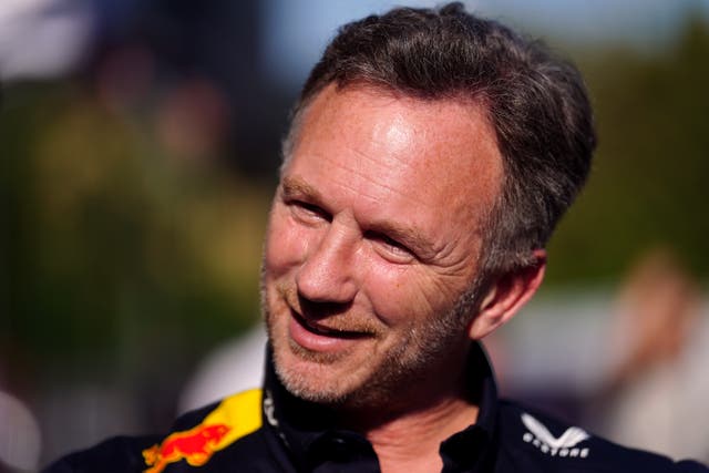 <p>Red Bull team principal Christian Horner (David Davies/PA)</p>