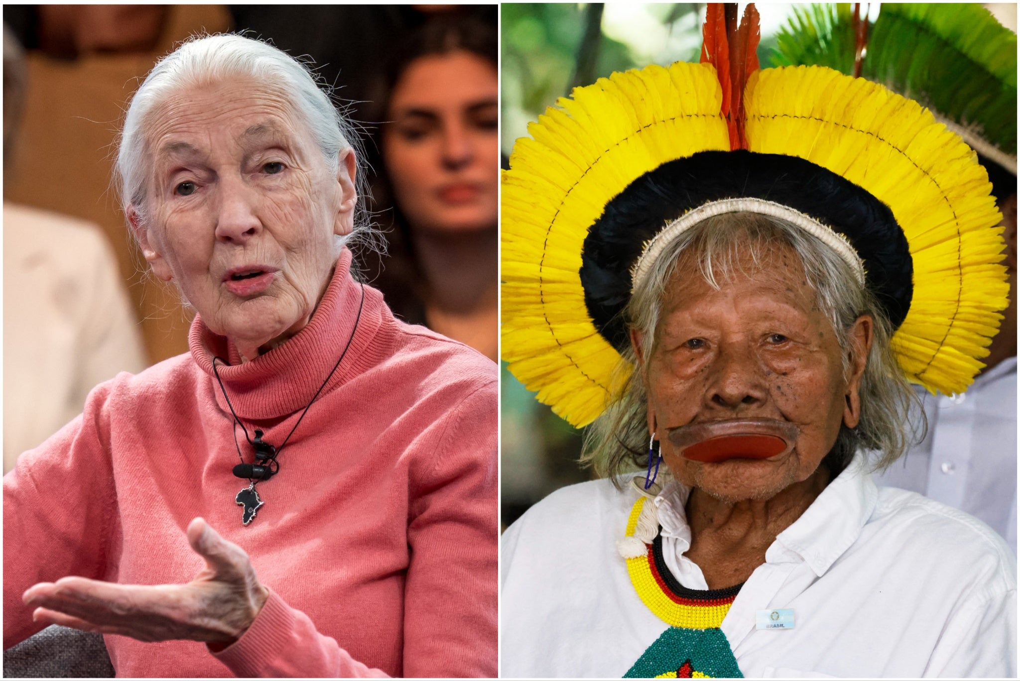 Jane Goodall and Chief Raoni appeared at Glastonbury 2024 to discuss the climate crisis